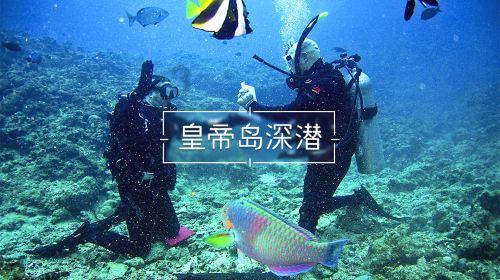 寻找奈良树花
