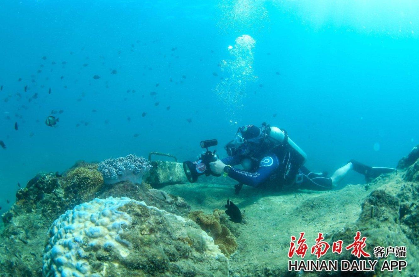 逃离可爱村落