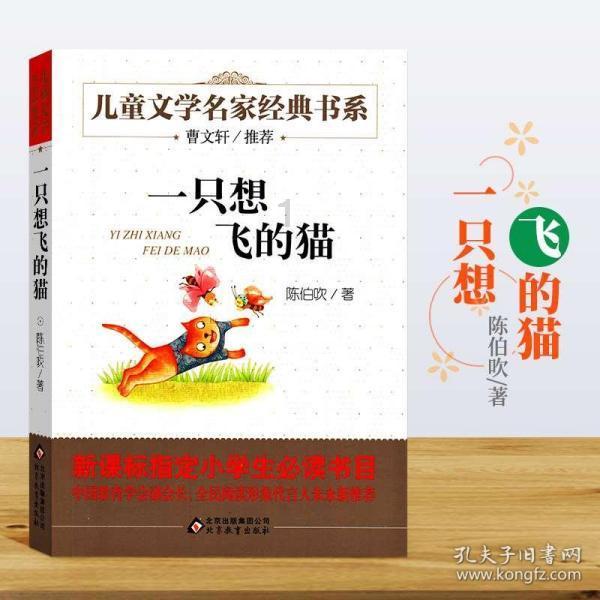 画线接蓝色球