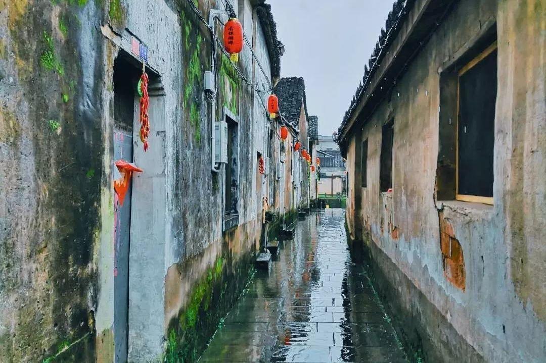 空闲农场